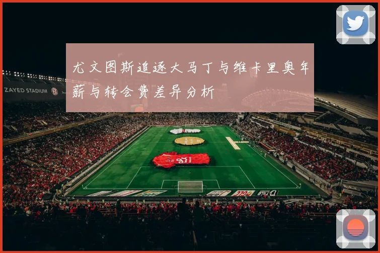 尤文图斯追逐大马丁与维卡里奥年薪与转会费差异分析
