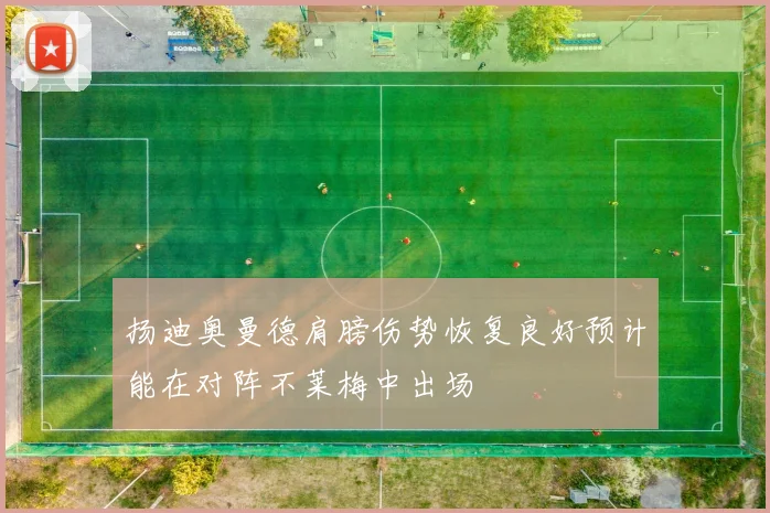 扬迪奥曼德肩膀伤势恢复良好预计能在对阵不莱梅中出场